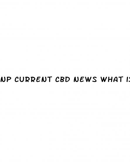 np current cbd news what is cte and can cbd help amp