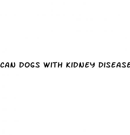 can dogs with kidney disease take cbd oil