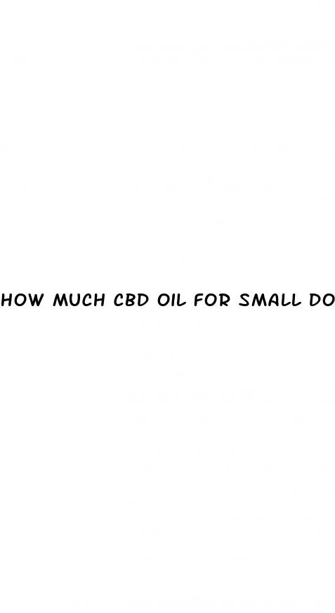 how much cbd oil for small dogs