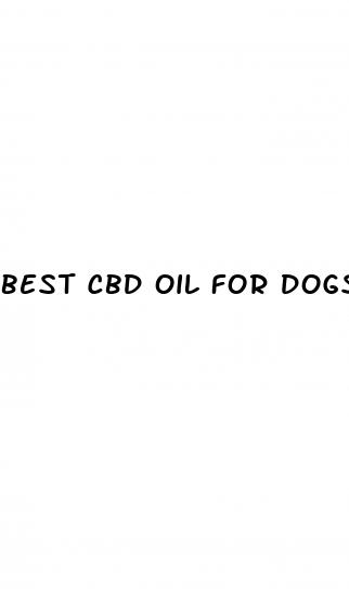 best cbd oil for dogs with joint pain