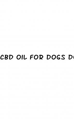 cbd oil for dogs dosing