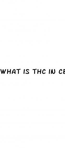 what is thc in cbd oil