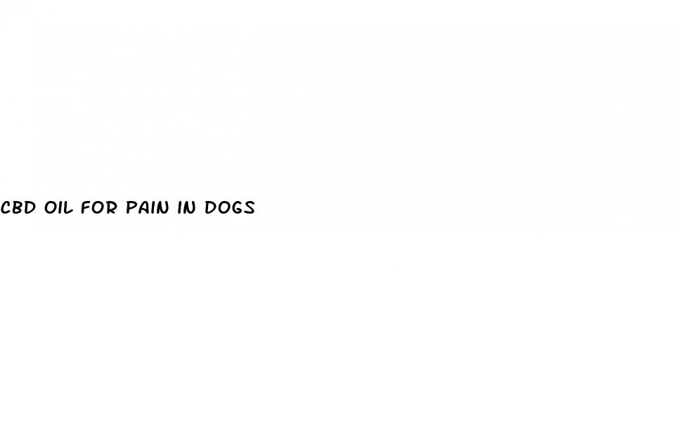 cbd oil for pain in dogs