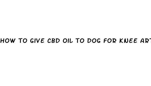 how to give cbd oil to dog for knee arthritis