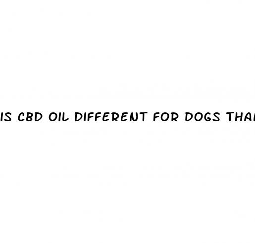 is cbd oil different for dogs than humans