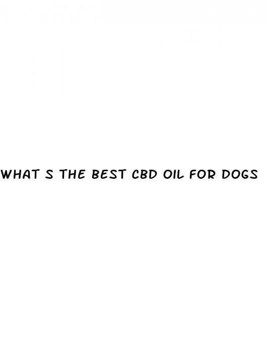 what s the best cbd oil for dogs