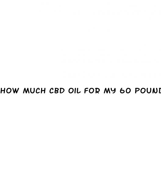 how much cbd oil for my 60 pound dog
