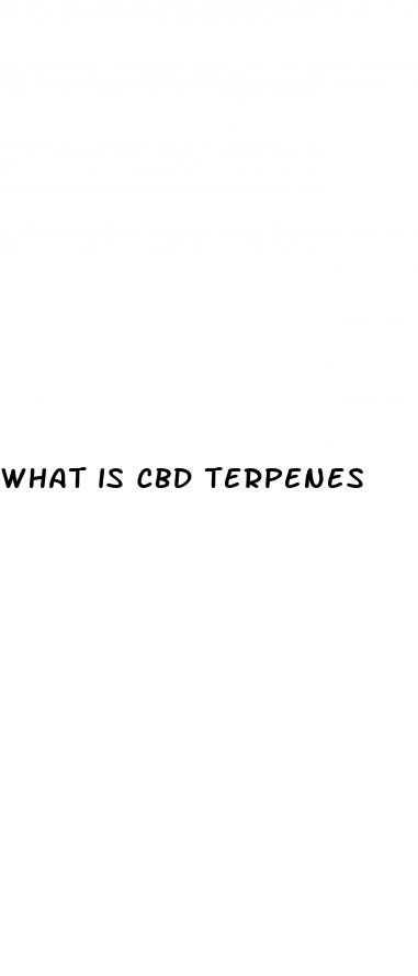 what is cbd terpenes