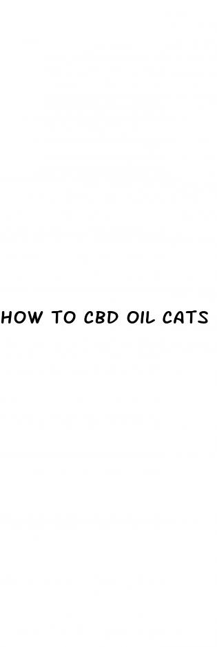 how to cbd oil cats on steroids