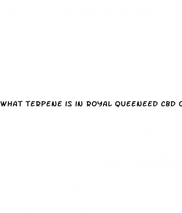 what terpene is in royal queeneed cbd oil