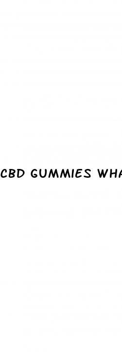 cbd gummies what s in it