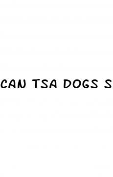 can tsa dogs smell cbd oil