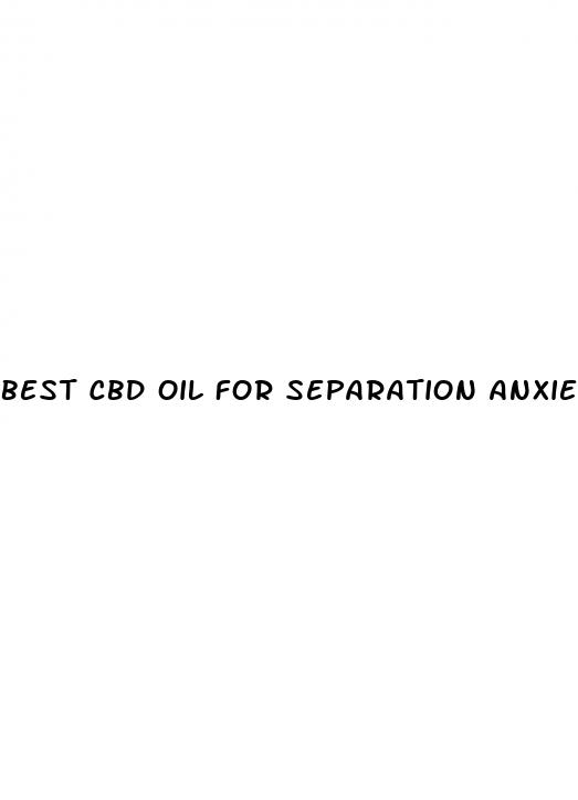 best cbd oil for separation anxiety in dogs