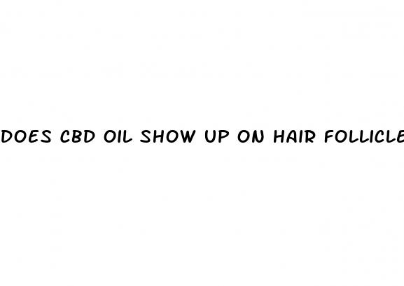 does cbd oil show up on hair follicle test