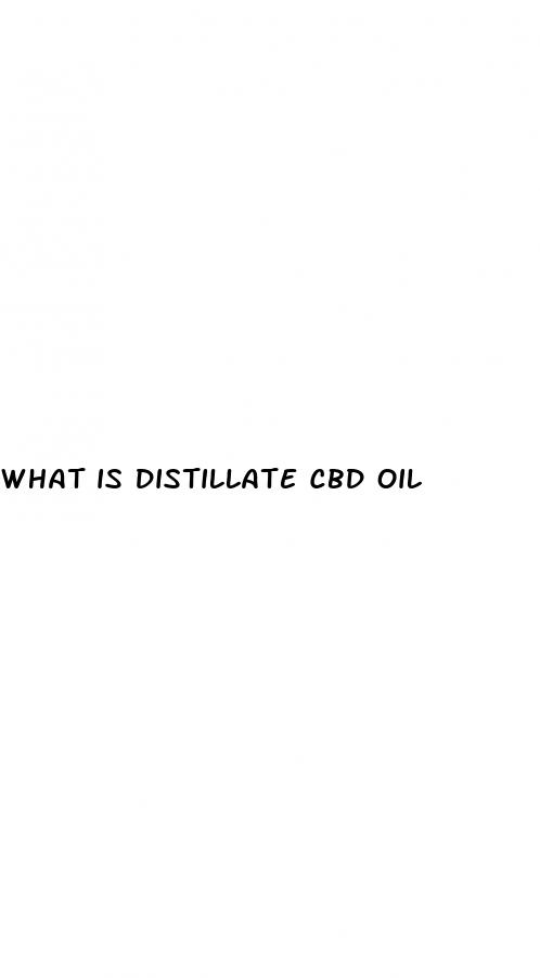 what is distillate cbd oil