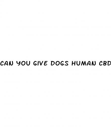 can you give dogs human cbd oil for pain