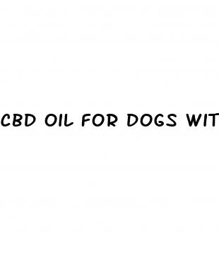 cbd oil for dogs with seizures