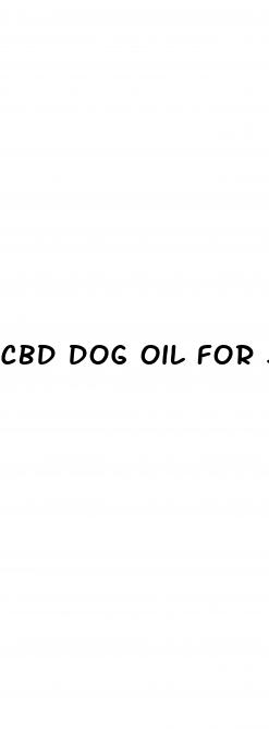cbd dog oil for sale