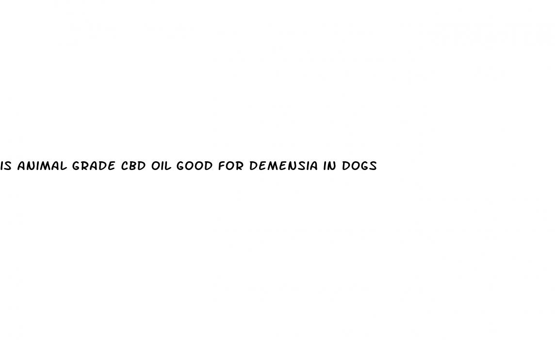 is animal grade cbd oil good for demensia in dogs