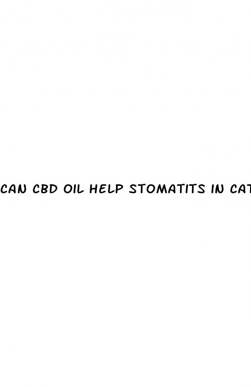 can cbd oil help stomatits in cats