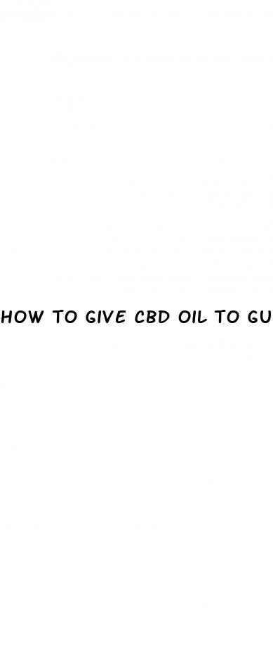 how to give cbd oil to guinea pogs