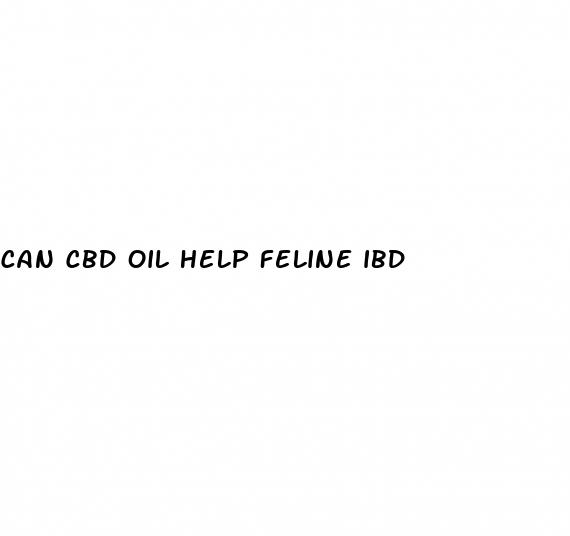 can cbd oil help feline ibd