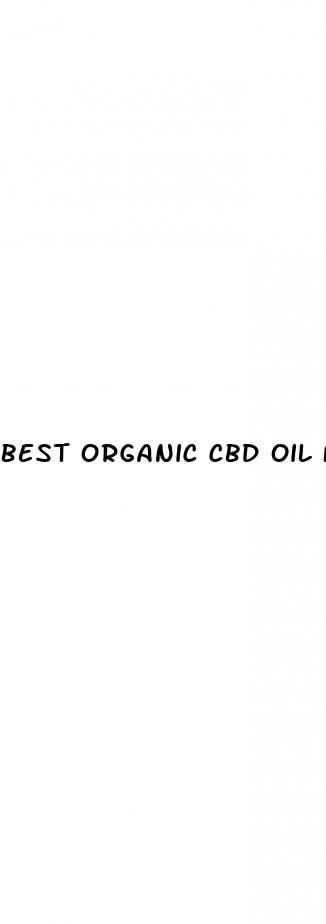 best organic cbd oil for dogs for pain