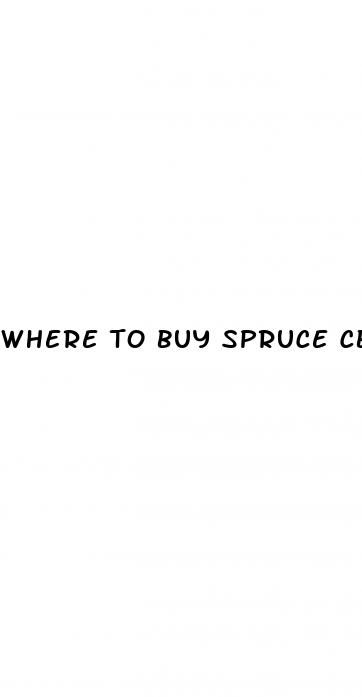 where to buy spruce cbd oil near me