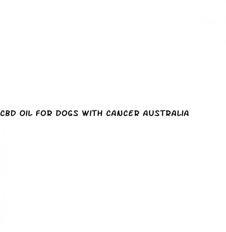 cbd oil for dogs with cancer australia