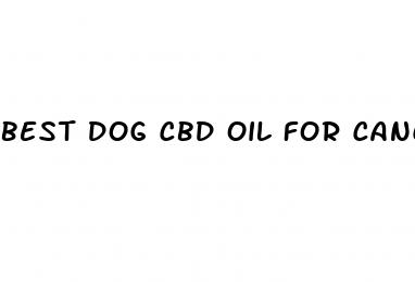 best dog cbd oil for cancer