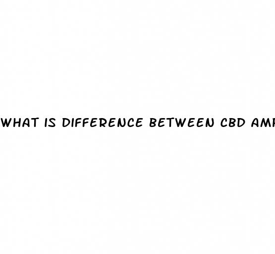 what is difference between cbd amp