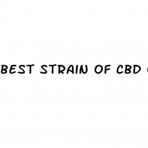 best strain of cbd oil