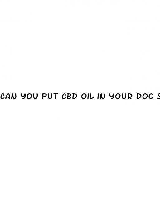 can you put cbd oil in your dog s water
