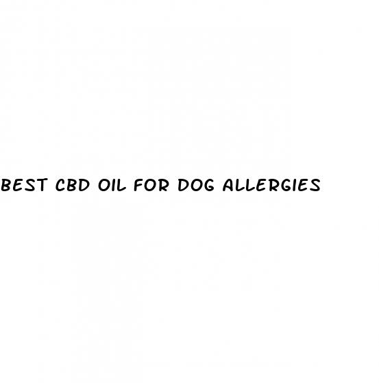 best cbd oil for dog allergies