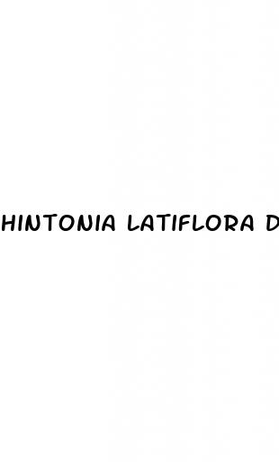 hintonia latiflora diabetes