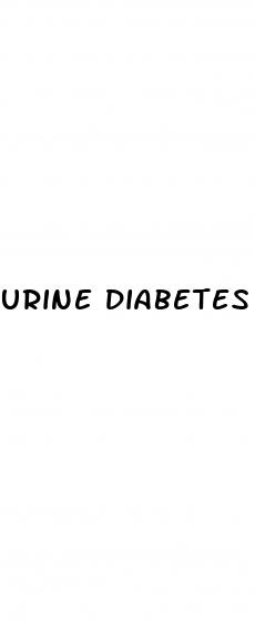 urine diabetes test