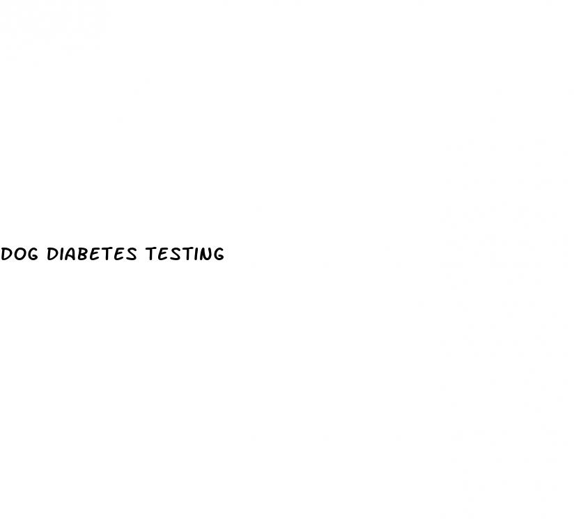 dog diabetes testing