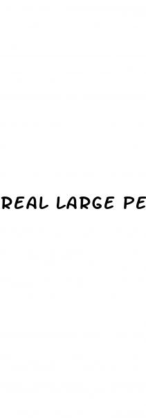 real large penis