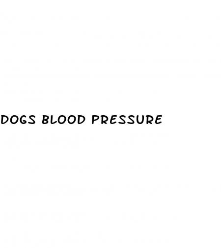dogs blood pressure