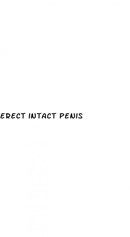 erect intact penis