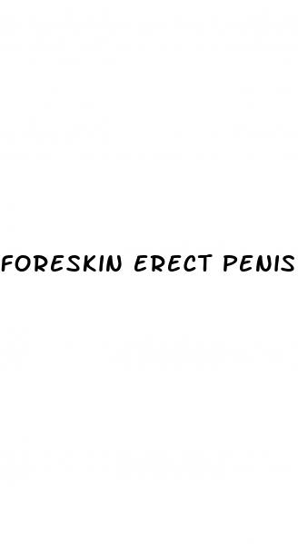 foreskin erect penis