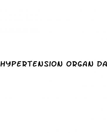 hypertension organ damage