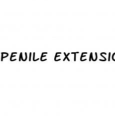 penile extension device