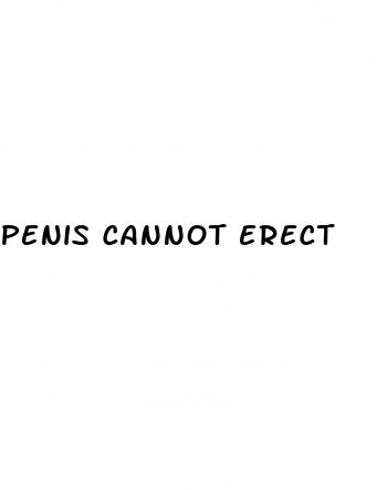 penis cannot erect