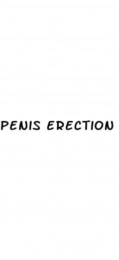 penis erection hurt