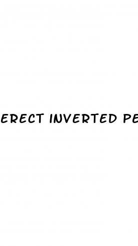 erect inverted penis