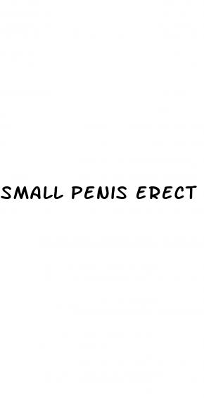 small penis erect