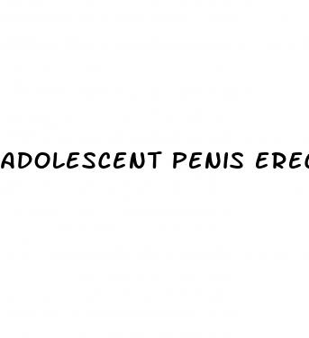 adolescent penis erection
