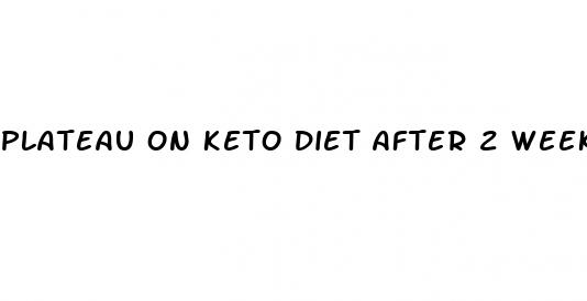 plateau on keto diet after 2 weeks