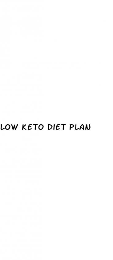 low keto diet plan